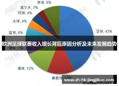 欧洲足球联赛收入增长背后原因分析及未来发展趋势