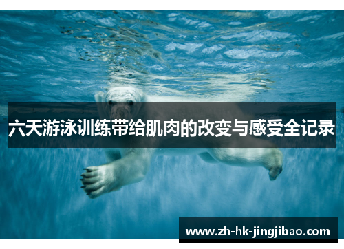 六天游泳训练带给肌肉的改变与感受全记录
