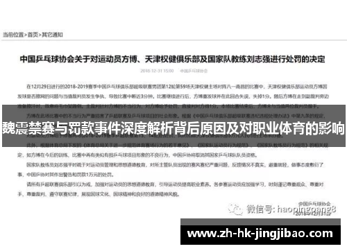 魏震禁赛与罚款事件深度解析背后原因及对职业体育的影响