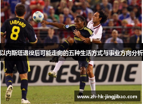 以内斯塔退役后可能走向的五种生活方式与事业方向分析