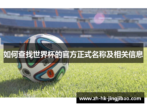 如何查找世界杯的官方正式名称及相关信息