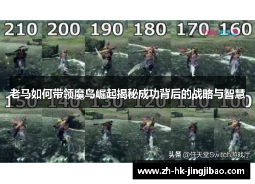 老马如何带领魔鸟崛起揭秘成功背后的战略与智慧