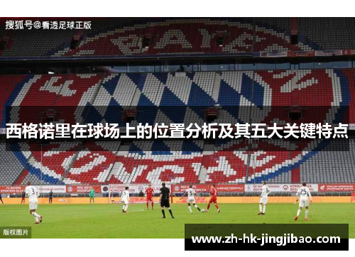 西格诺里在球场上的位置分析及其五大关键特点