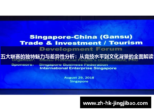 五大联赛的独特魅力与差异性分析：从竞技水平到文化背景的全面解读