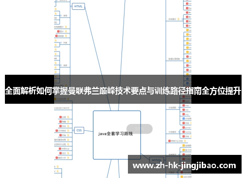 全面解析如何掌握曼联弗兰巅峰技术要点与训练路径指南全方位提升