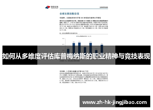 如何从多维度评估库普梅纳斯的职业精神与竞技表现
