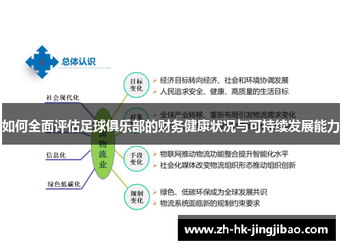 如何全面评估足球俱乐部的财务健康状况与可持续发展能力