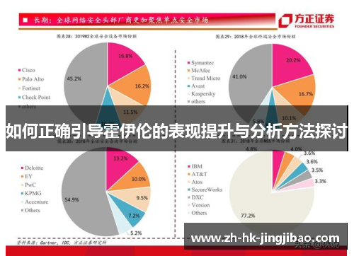 如何正确引导霍伊伦的表现提升与分析方法探讨